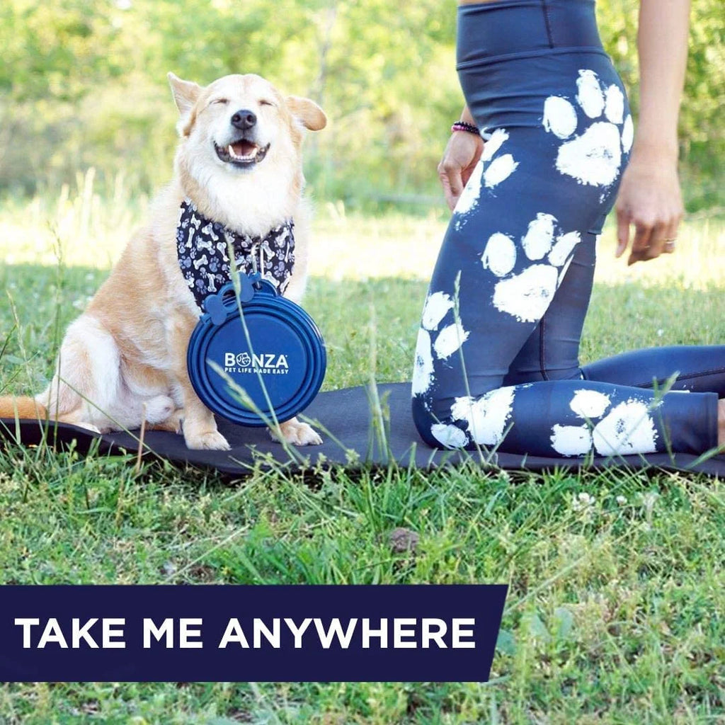 Collapsible Silicone Dog Bowl, Portable Travel Water & Food Bowl, Large Blue